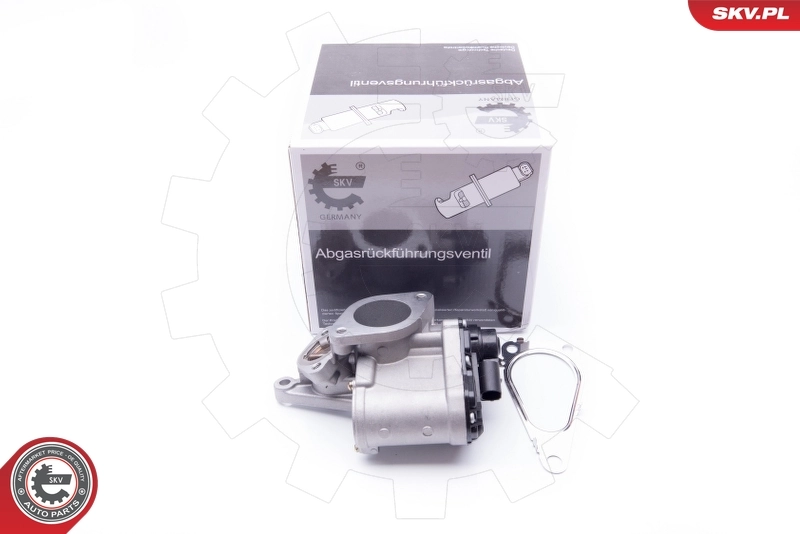 EGR Valve